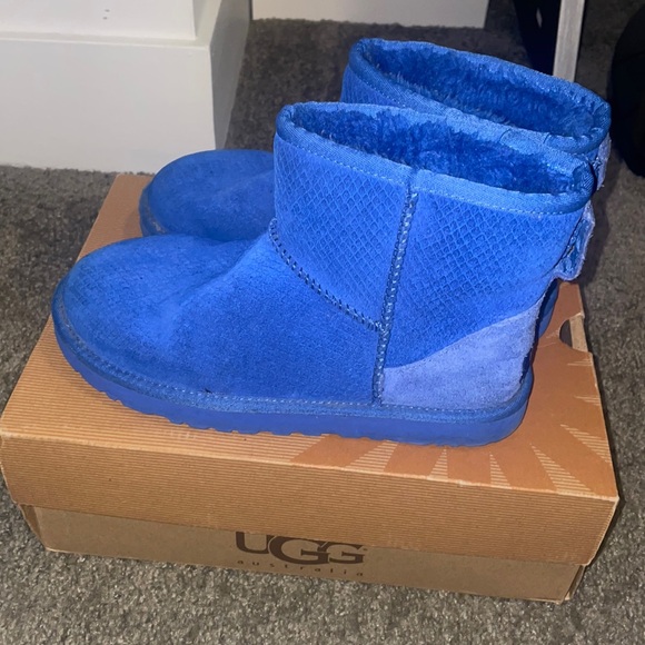 Exotic mini scale blue uggs - Picture 2 of 8